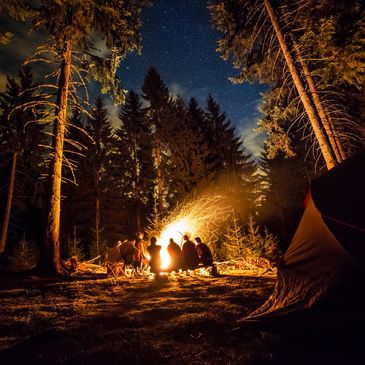 A group of people gather around a campfire in the woods.