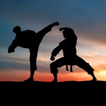 Martial arts at sunset