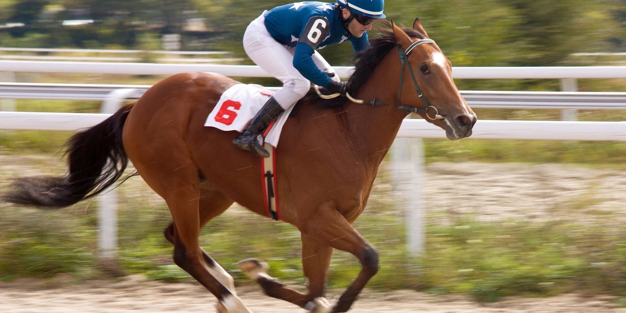 Burokas Law represents all horse racing professionals. 