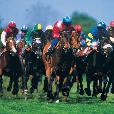 ITO Sports: Premium horse racing packages. Experience the thrill