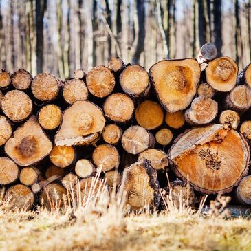 Hardwood logs for firewood bundles in Hampstead, NC