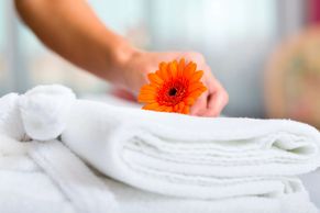 a daisy on a towel