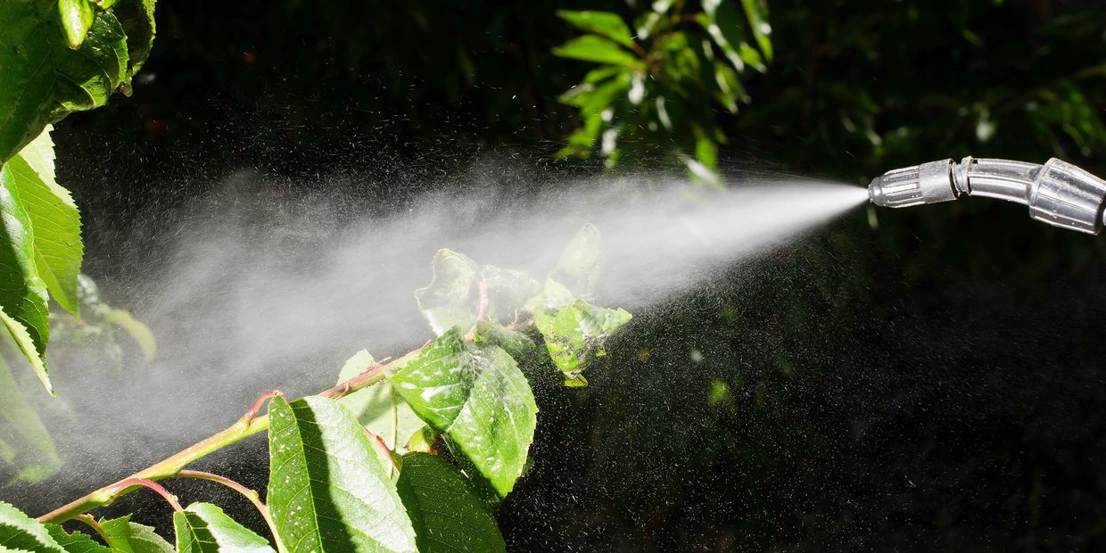Spraying plant material for pest control