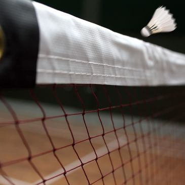 Play Badminton in Wilmington, North Carolina
