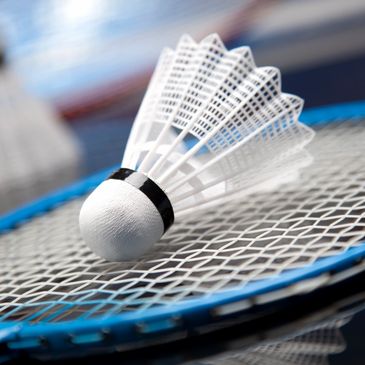 Play Badminton in Wilmington, North Carolina