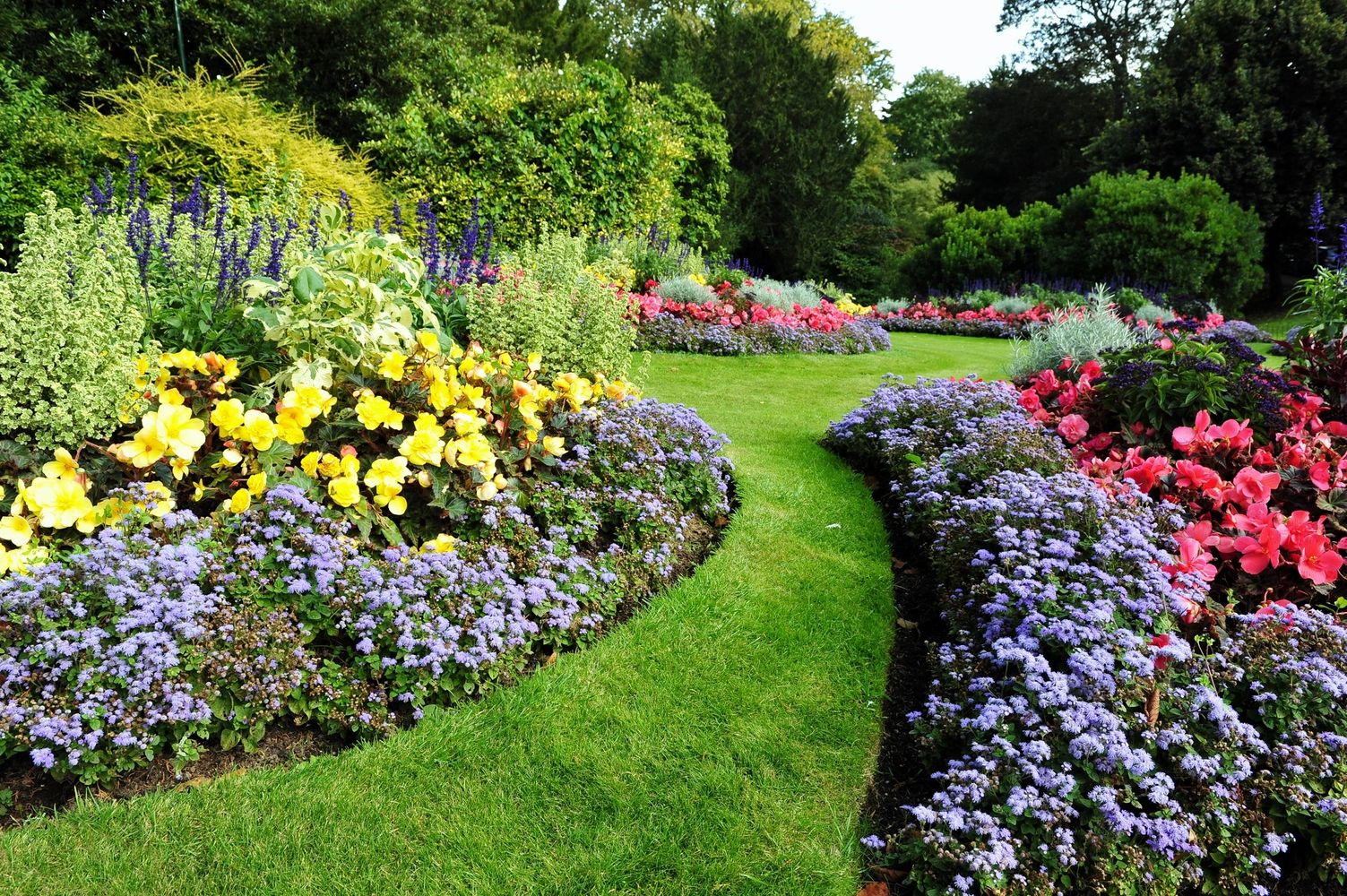 Grass and Flowers Landscape