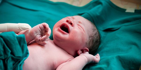 Neonatal Nurse Practitioners attend high risk deliveries, may perform Neonatal Resuscitation