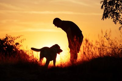 Owner with his dog at sunset.