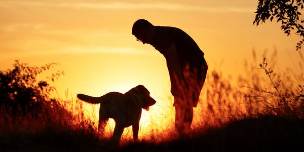 Man and dog at sunset