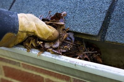 gutter cleaning image