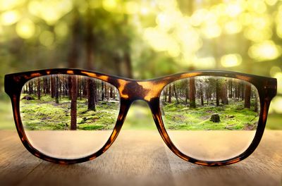 Eyeglasses looking into the forest