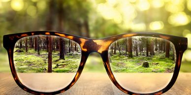 Pair of glasses showing clarity in a forest