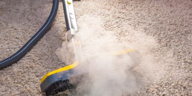 Carpet Cleaning, Steam Cleaning, Hot water extraction
