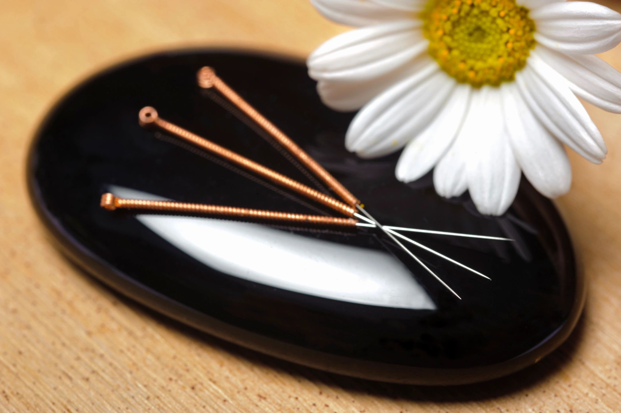 Acupuncture needles
Acupuncture
Traditional Acupuncture
Five Element Acupuncture
