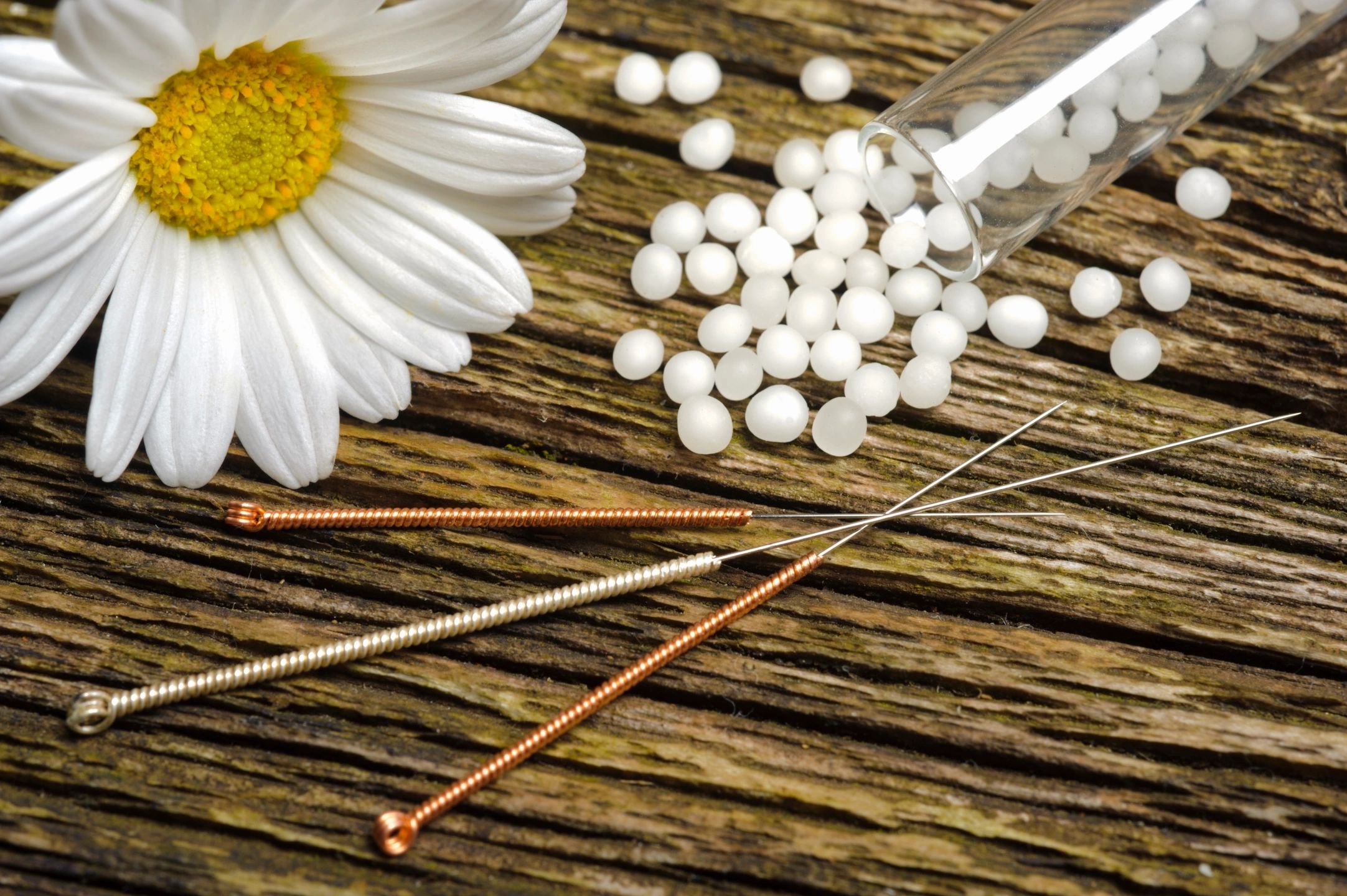 Acupuncture Energetics 東洋医学 Acupuncture Therapeutics (International Acupuncture
