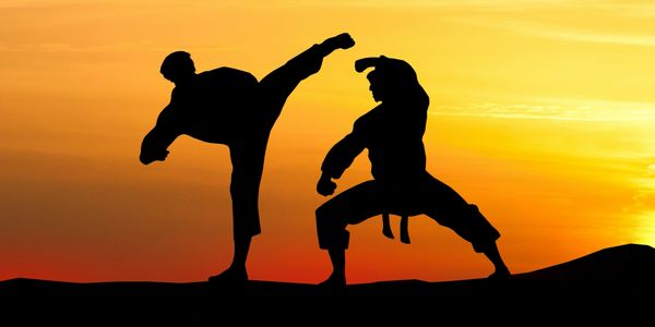 silhouette of fighters in taekwondo