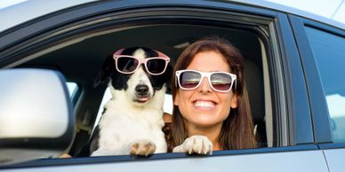 Dog and owner in car. Pet travel health certificates