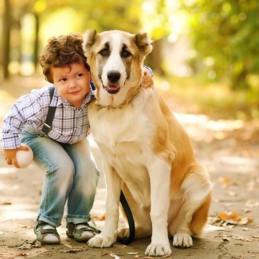 Dog with child and ball