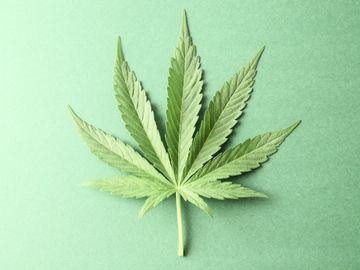 Medical Marijuana
Weed
MMJ
Marijuana Card
Exam
Pain Relief
Anxiety
