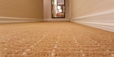Whether it's an area rug or wall to wall carpet, we take it all. 