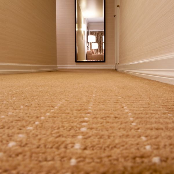 A hallway with commercial carpet 