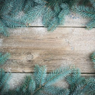 A festive display of evergreen branches on a wooden background. 