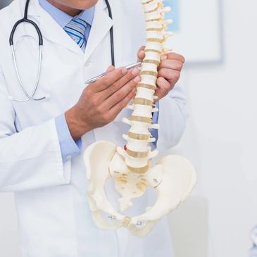 Chiropractor with spine