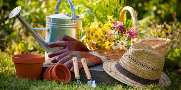 Gardening maintenance scene with flowers, hat, gloves, watering can, pots and tools.