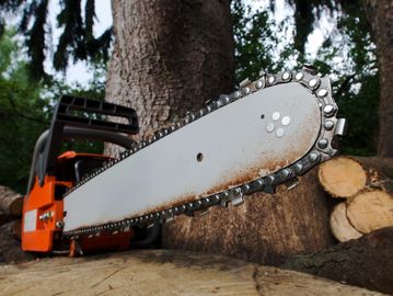 Tree removal and cutting