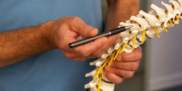 Chiropractor patient education using a pen to point to the sore area on a plastic model of the spine
