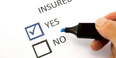 A checkbox for insurance