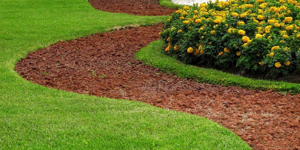 Enhanced Pine Mulch brightens up a residential garden