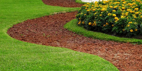 Beautify your landscaping with flowers and mulch