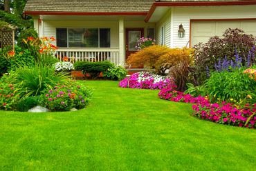 Flowers and grass in front yard. Quality lawn care services.
