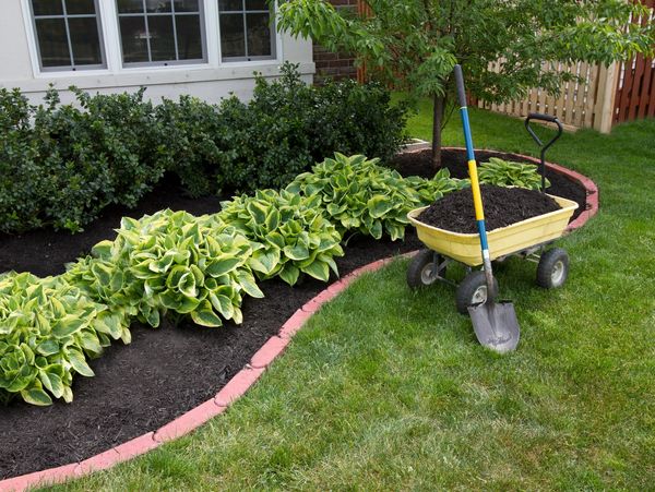 When your new lawn is installed, you may be tempted to add landscaping services to your yard.