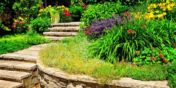 Landscape maintenance for residential and commercial customers in howard, baltimore, carroll county