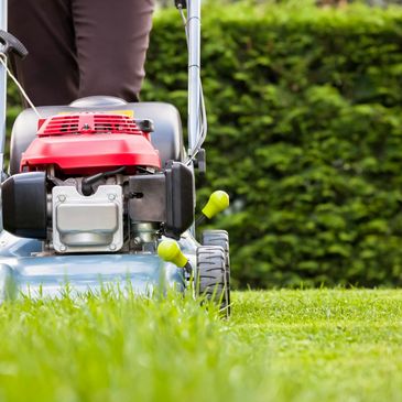 We offer full lawn services , including mowing , trimming , mulching , bagging , trimming of trees a
