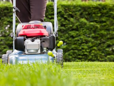 lawn mower repair and services greensboro