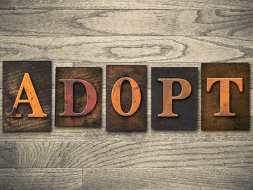 sign that reads Adopt