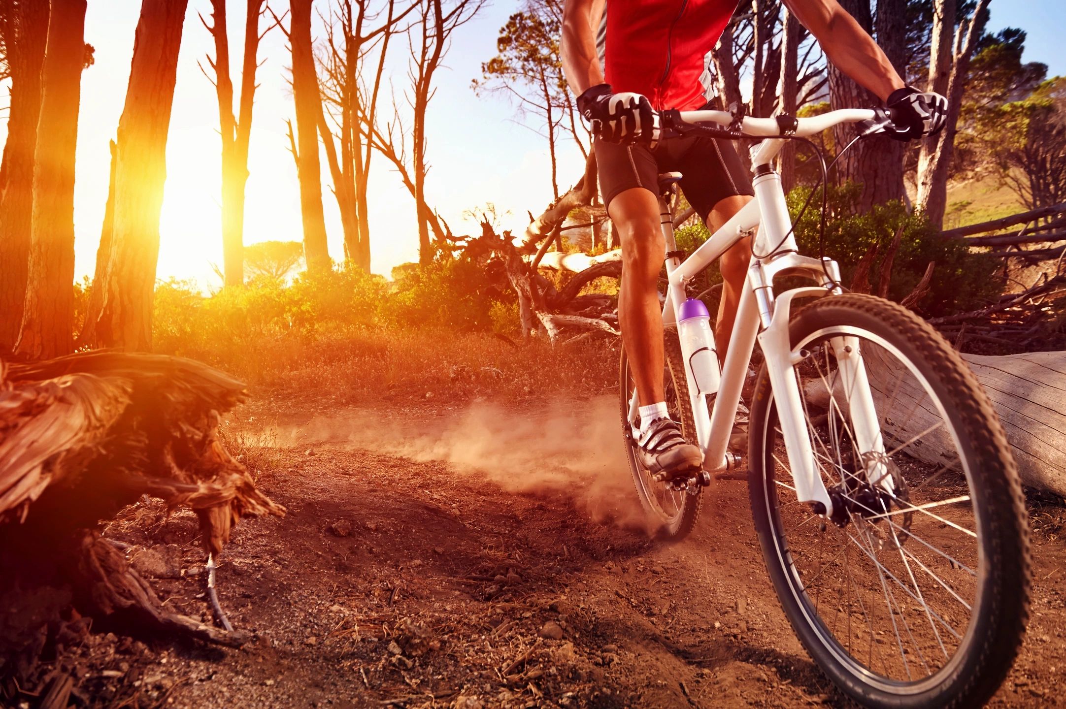 A person riding a mountain bike in a forest with a colourful sunrise in the background