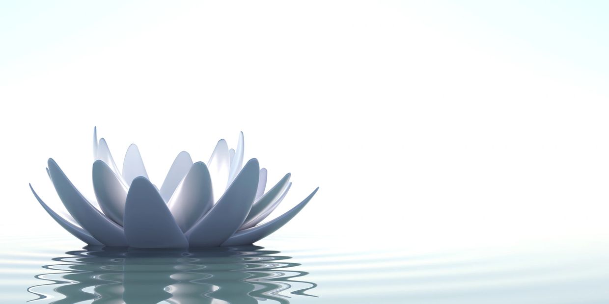 Lotus flower, symbol of the divine.