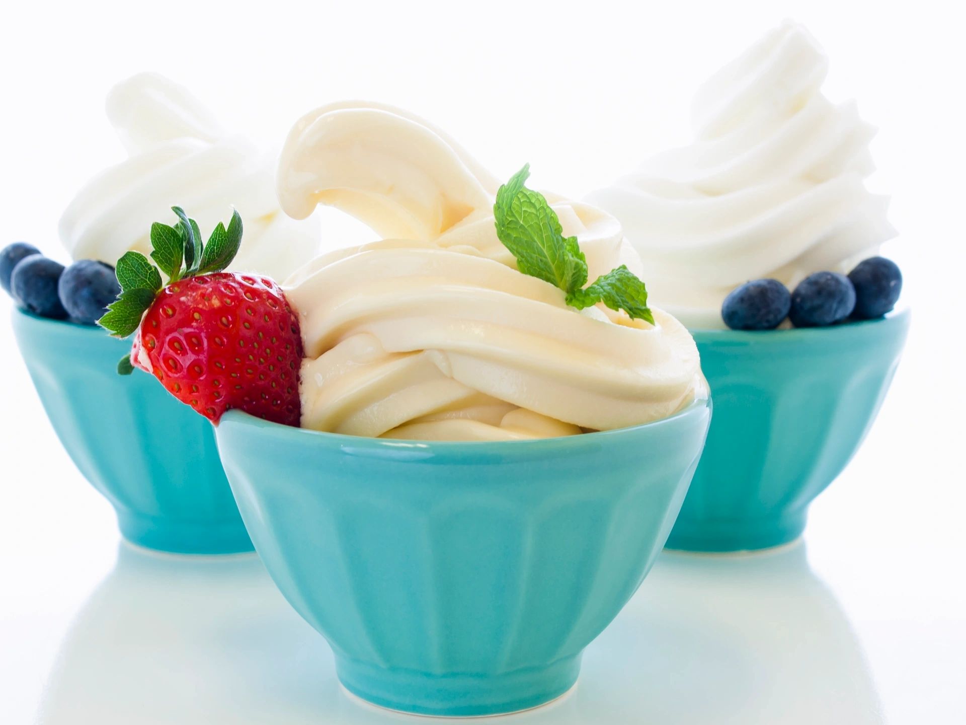 FROYO Frozen Yogurt Business Package