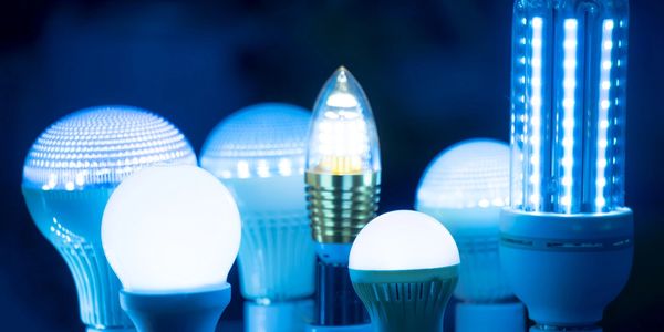 Electric light bulbs