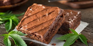 chocolate brownies edible so good taste great cannabis plants green brown on a white plate or napkin