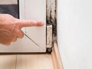 Mold Inspection, Removal, and Remediation