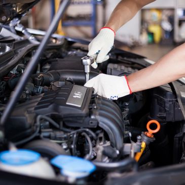 Mechanic repairing car.