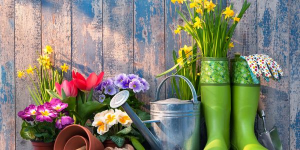 Gardening equipment and flowers