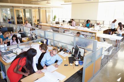 Many people working in a large office with divider walls and large windows.