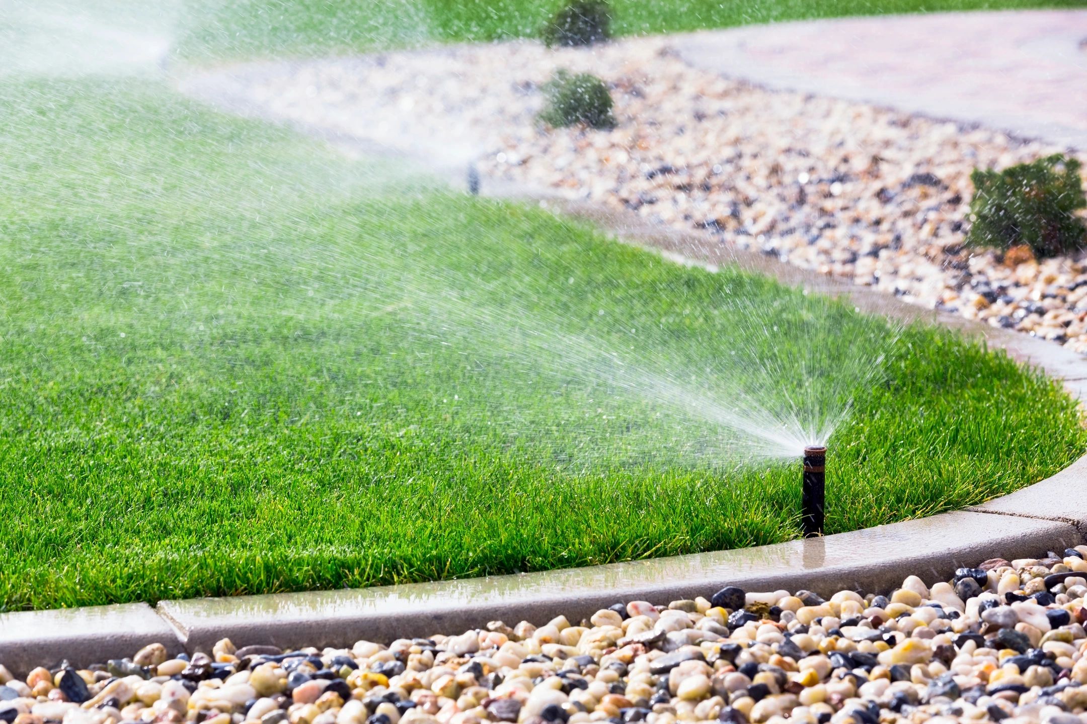 an irrigation sprinkler in a green lawn 