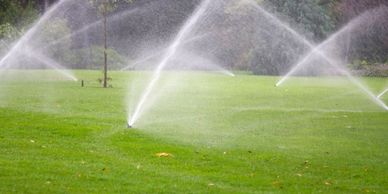 Sprinklers watering green lawn